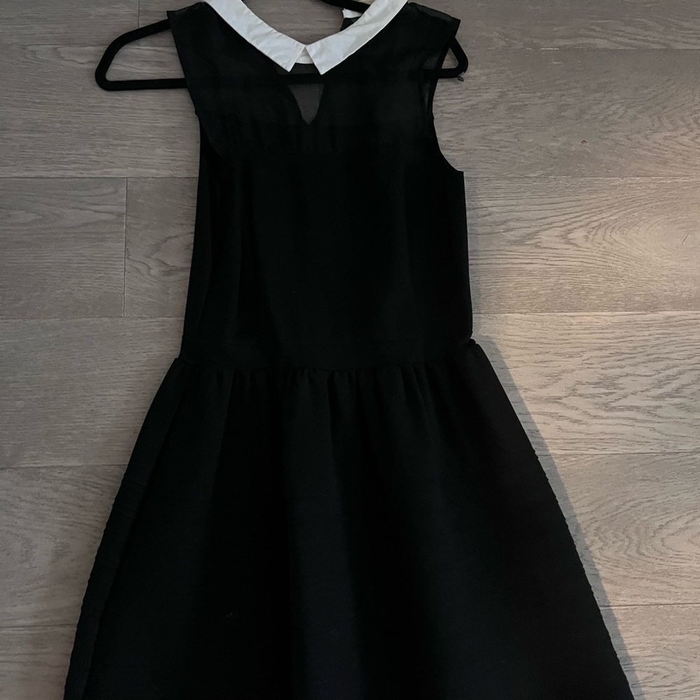 Maje size 3 large white collar black dress with mesh